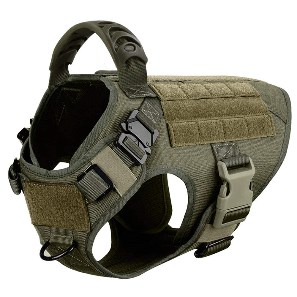 Nylon Dog Harness And Leash Set For Training And Walking