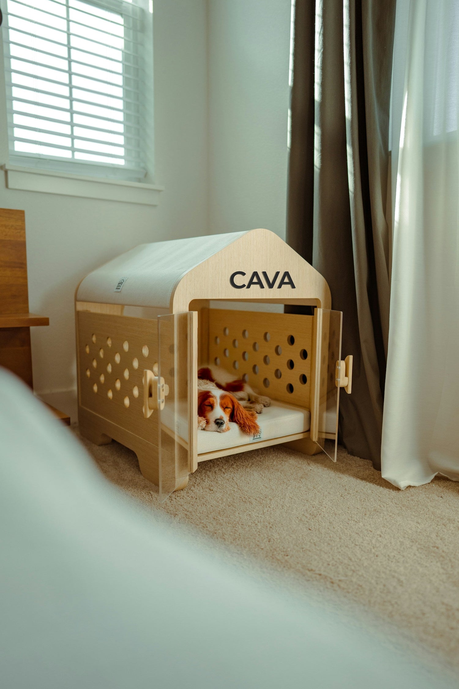 Kennels & Crates