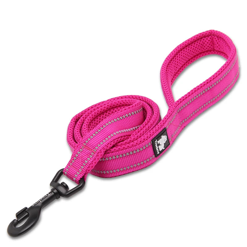Winhyepet Padded Handle Dog Leash For Training Durable Nylon
