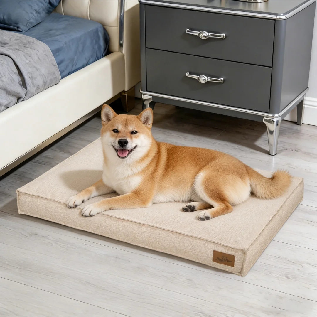 Bingopaw Dog Bed With Linen Cover Foam Base Waterproof Lining