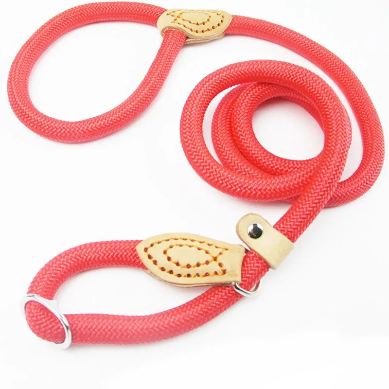Nylon Dog Leash Slip Rope Heavy Duty Braided Lead Durable