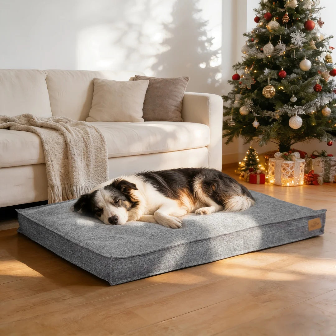 Bingopaw Dog Bed With Linen Cover Foam Base Waterproof Lining
