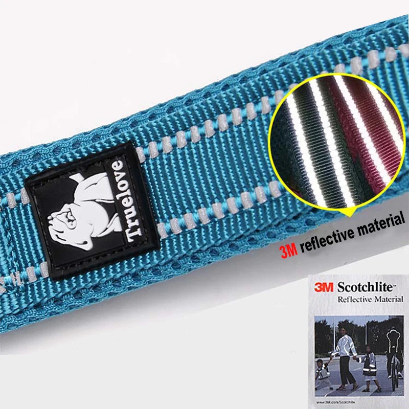 Winhyepet Padded Handle Dog Leash For Training Durable Nylon
