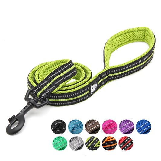 Winhyepet Padded Handle Dog Leash For Training Durable Nylon