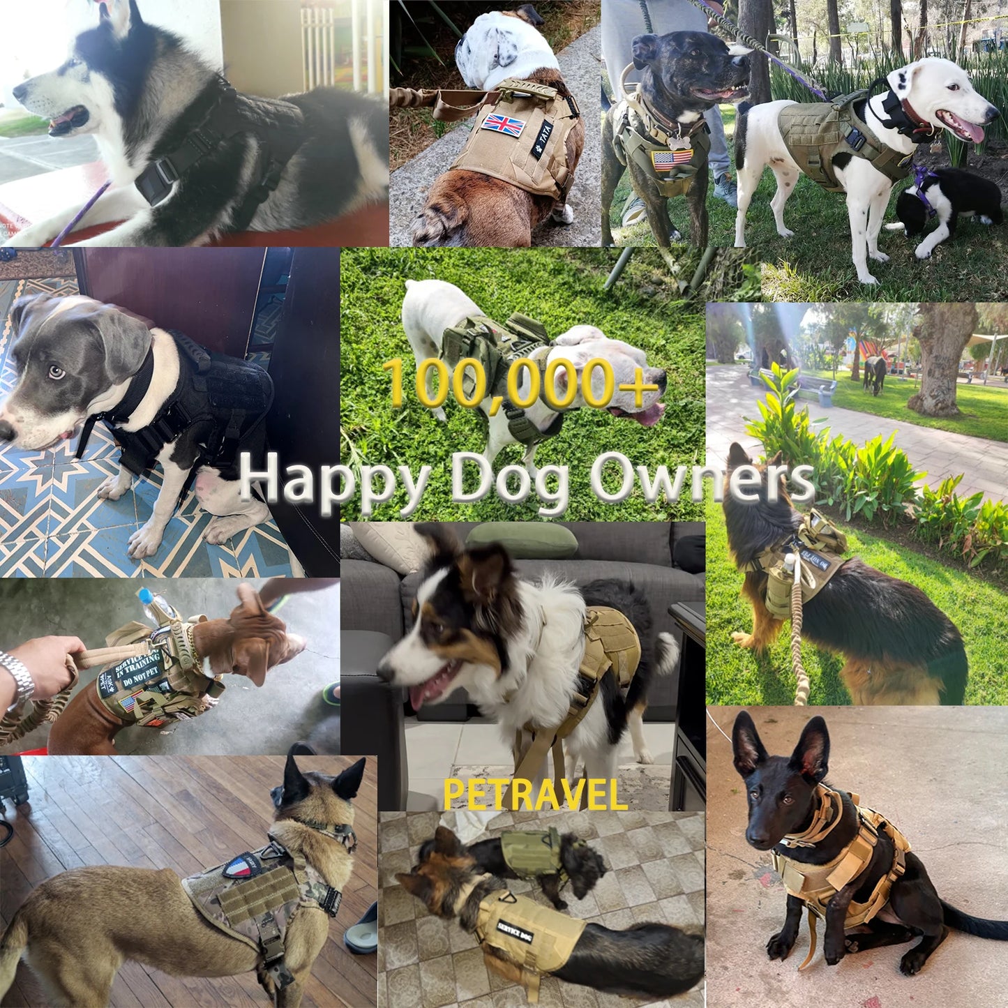Dog Harness With Molle Pouches For Medium And Large Dogs