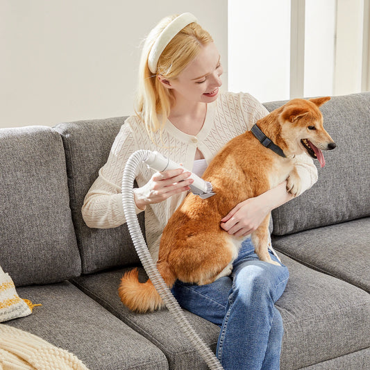 Professional Pet Grooming Vacuum Kit With 3 Suction Modes And 5 Groomer Tools