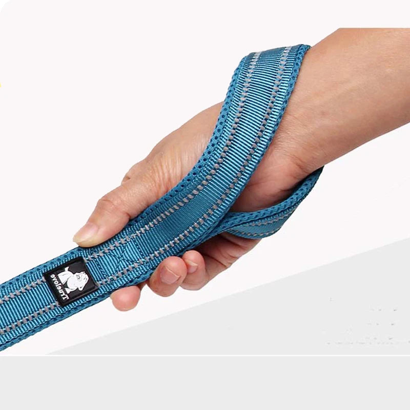 Winhyepet Padded Handle Dog Leash For Training Durable Nylon