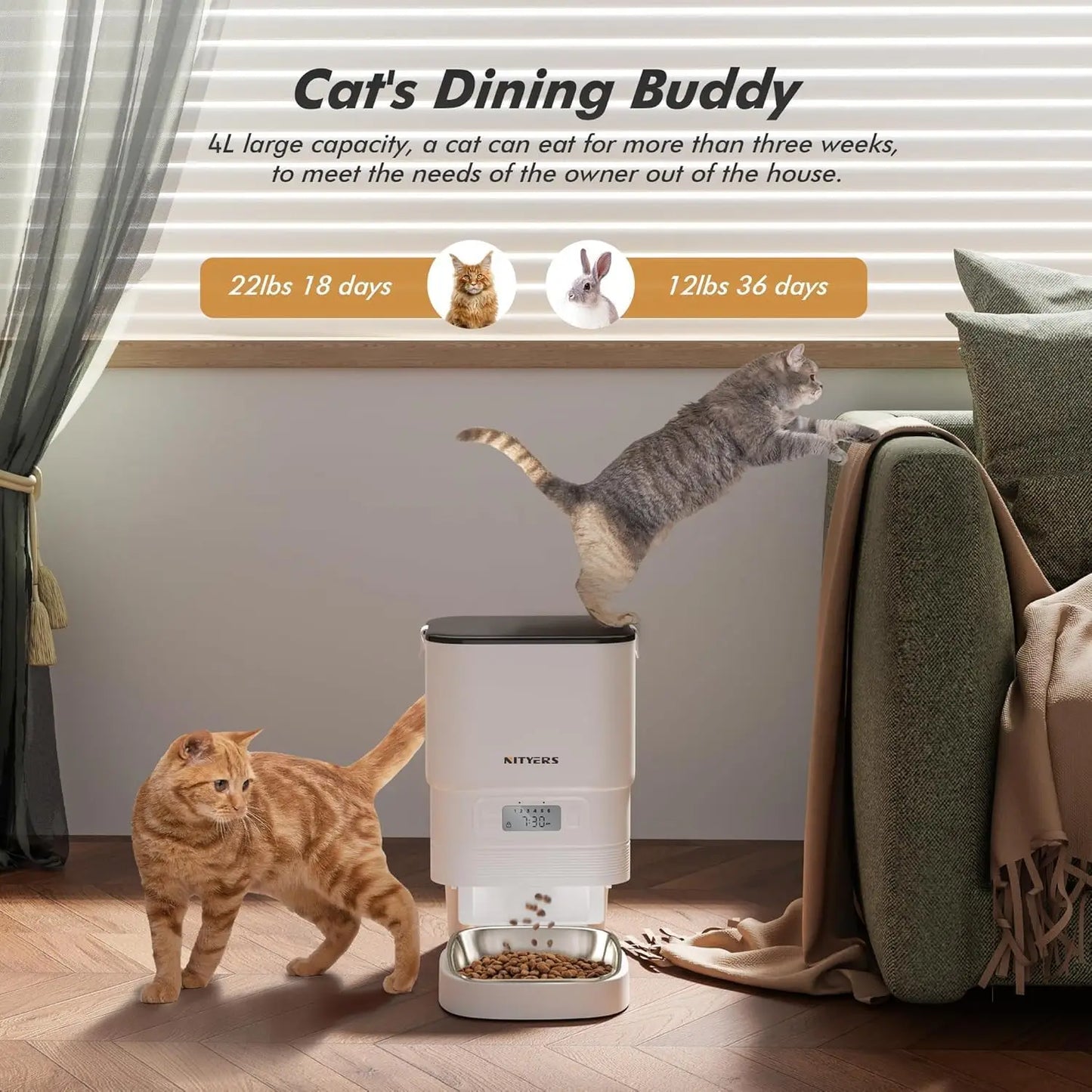 Nityers Automatic Cat And Small Dog Feeder With Timed Dispenser