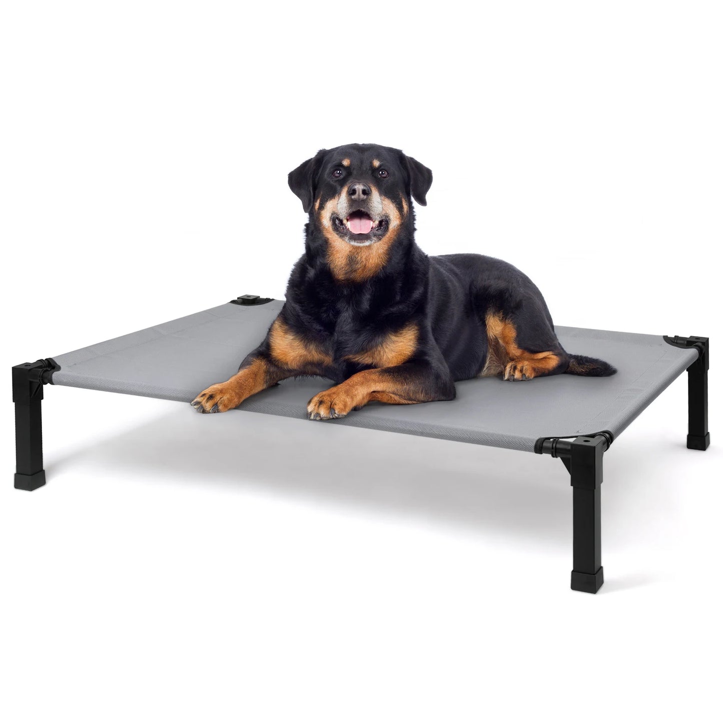 Elevated Cooling Dog Bed With Chew Proof Mesh Metal Frame