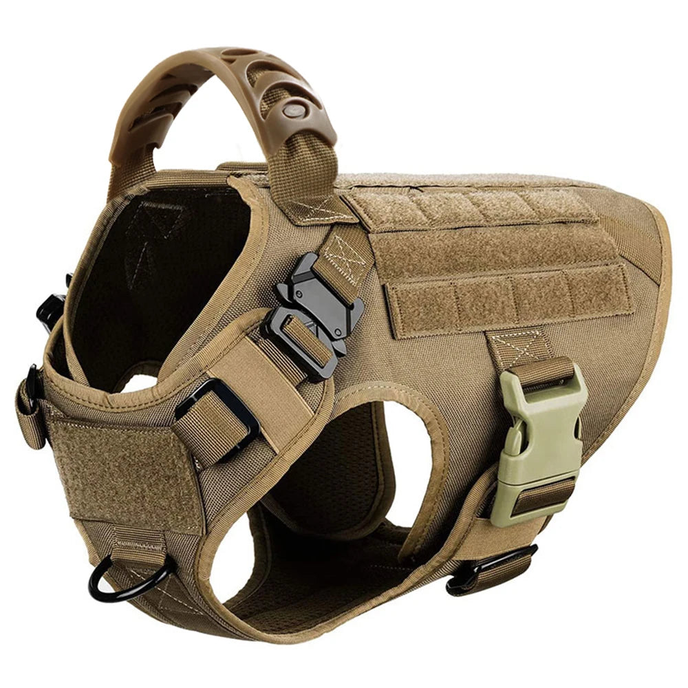 Nylon Dog Harness And Leash Set For Training And Walking