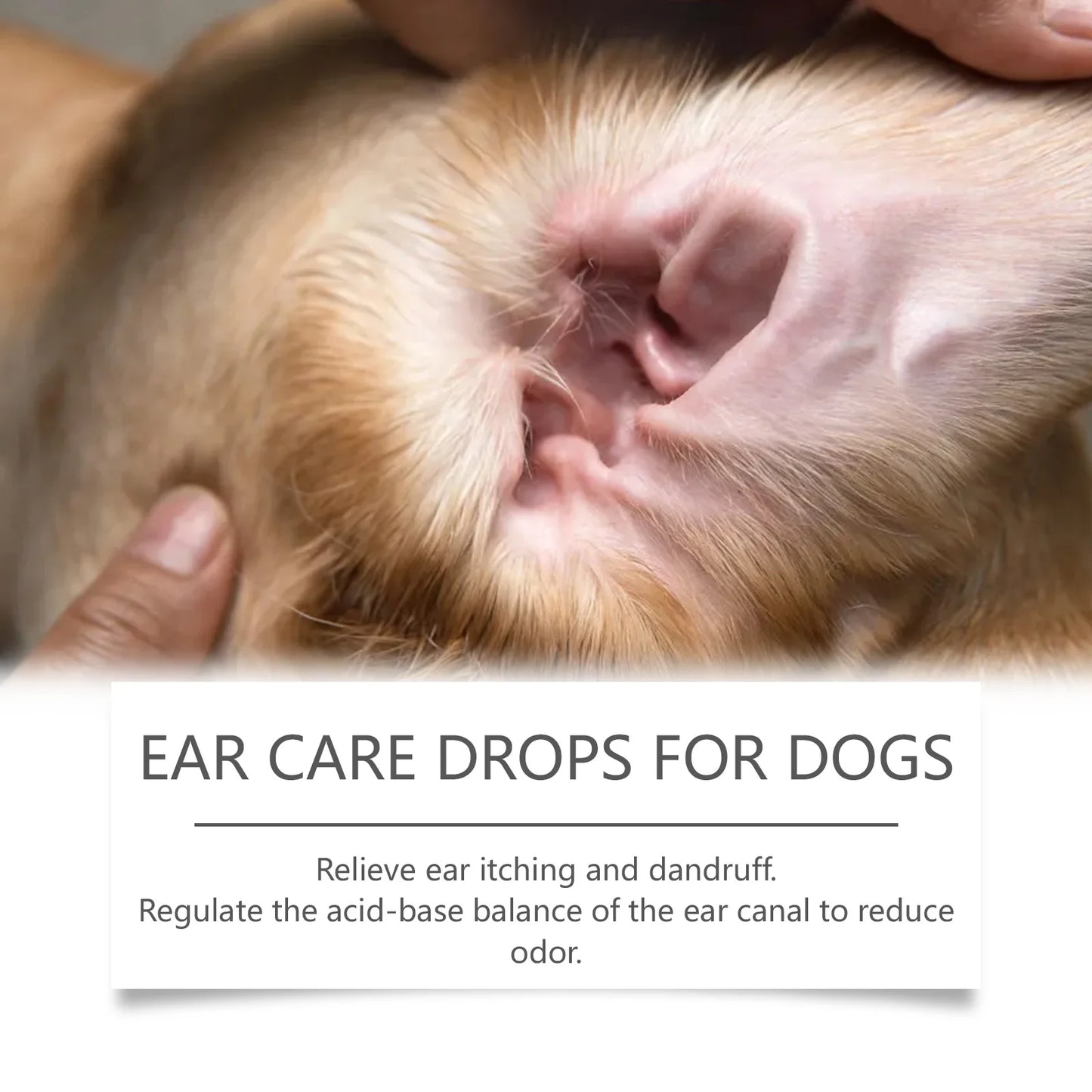 Pet Ear Cleaning Drops For Dogs And Cats Gentle Formula