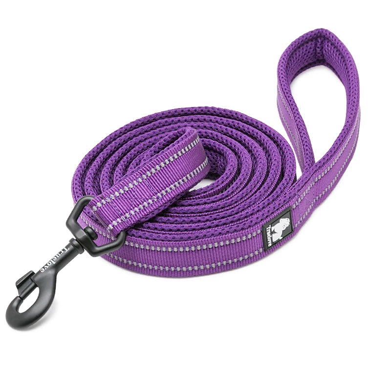 Winhyepet Padded Handle Dog Leash For Training Durable Nylon