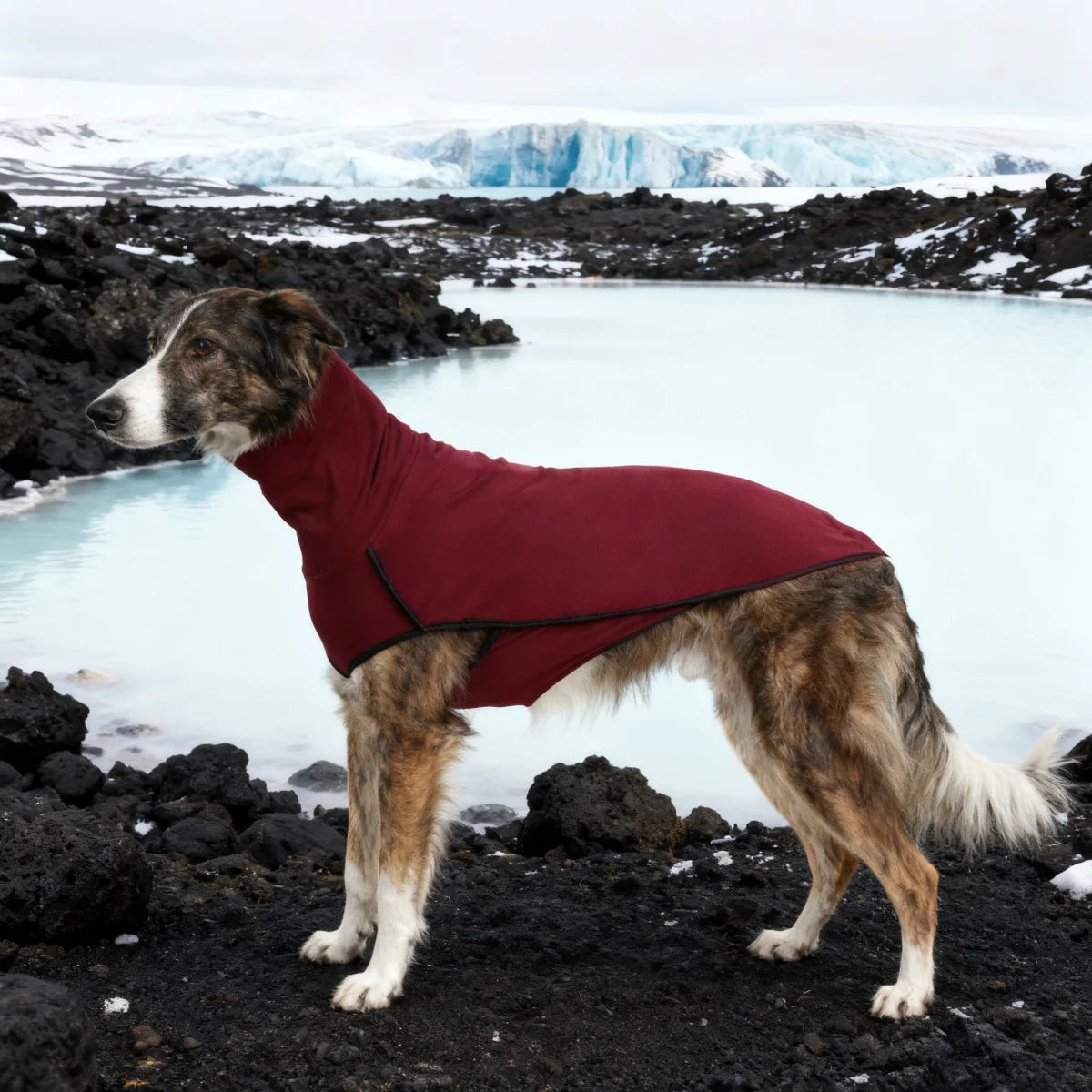 Dog Winter Coat Pajamas Onesie Turtleneck Fleece Coat
