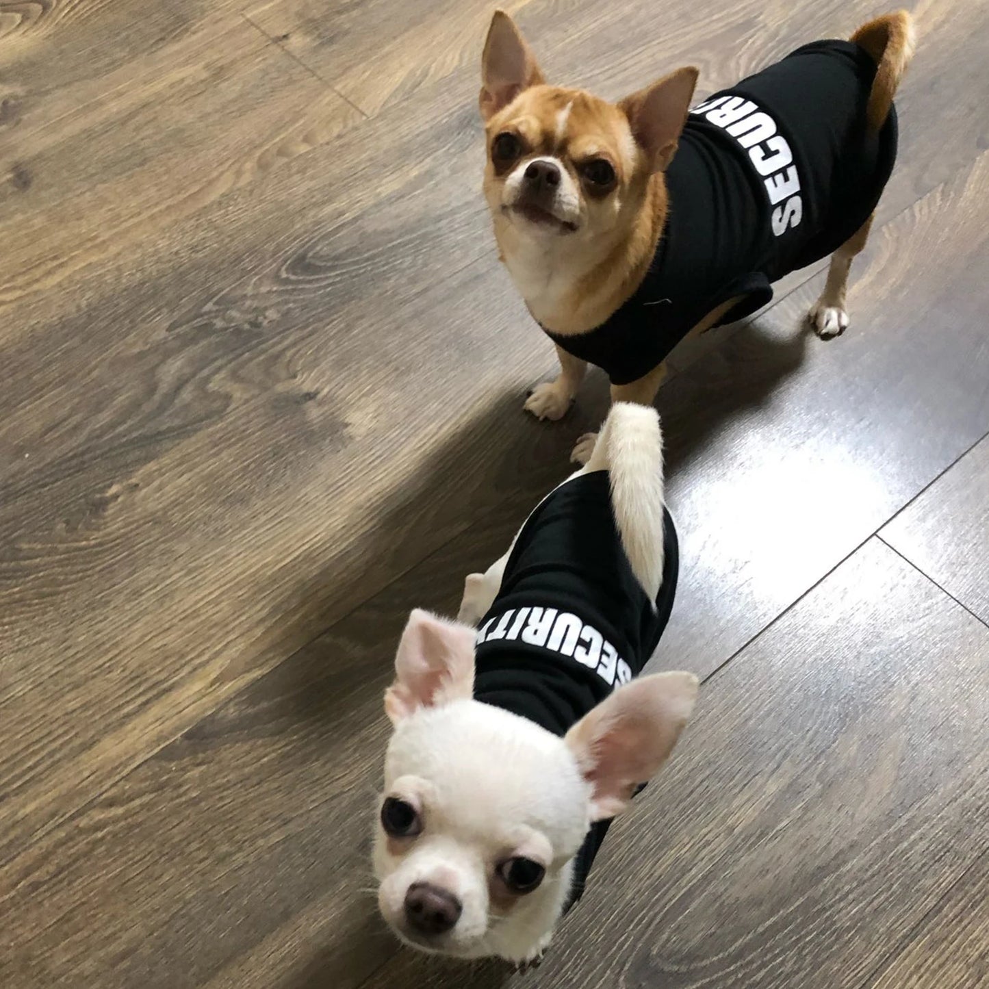 Dog Security Clothing Vest For Small Dogs Shirt Costume
