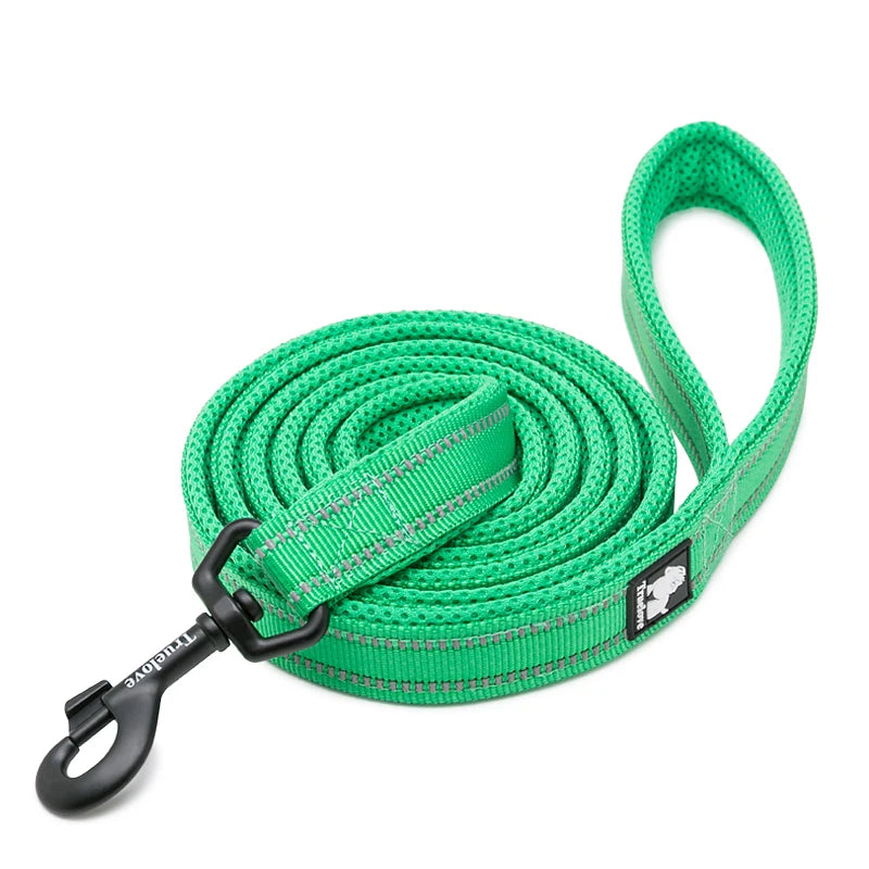 Winhyepet Padded Handle Dog Leash For Training Durable Nylon