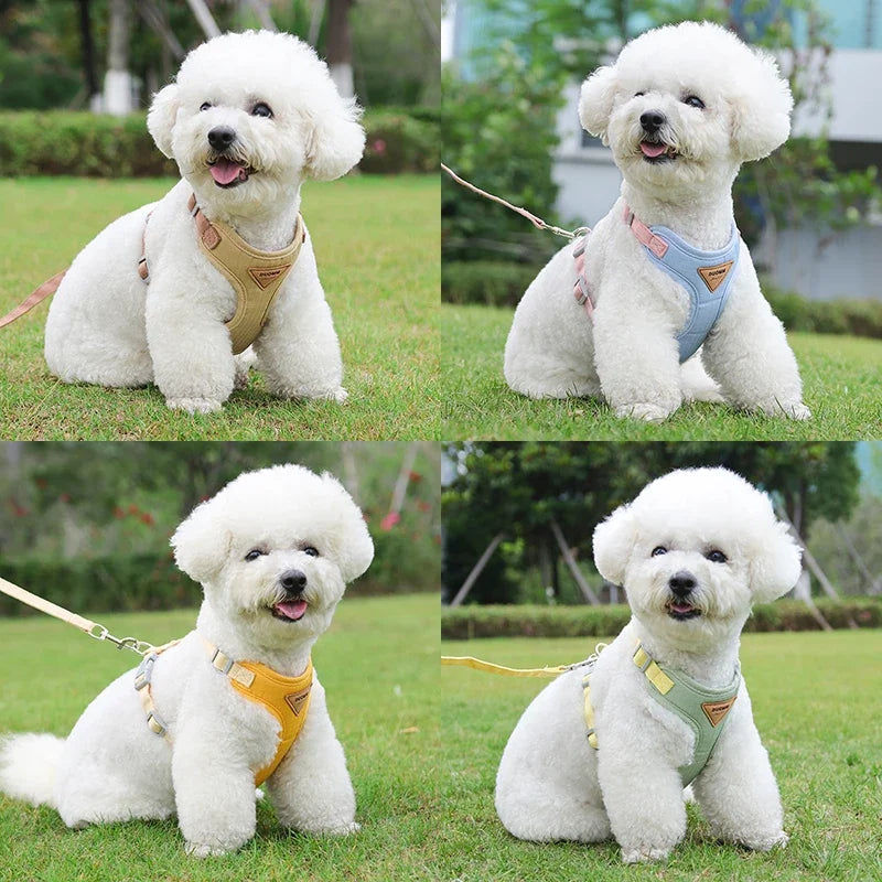 Puppy Harness And Leash Set For Small To Medium Pets