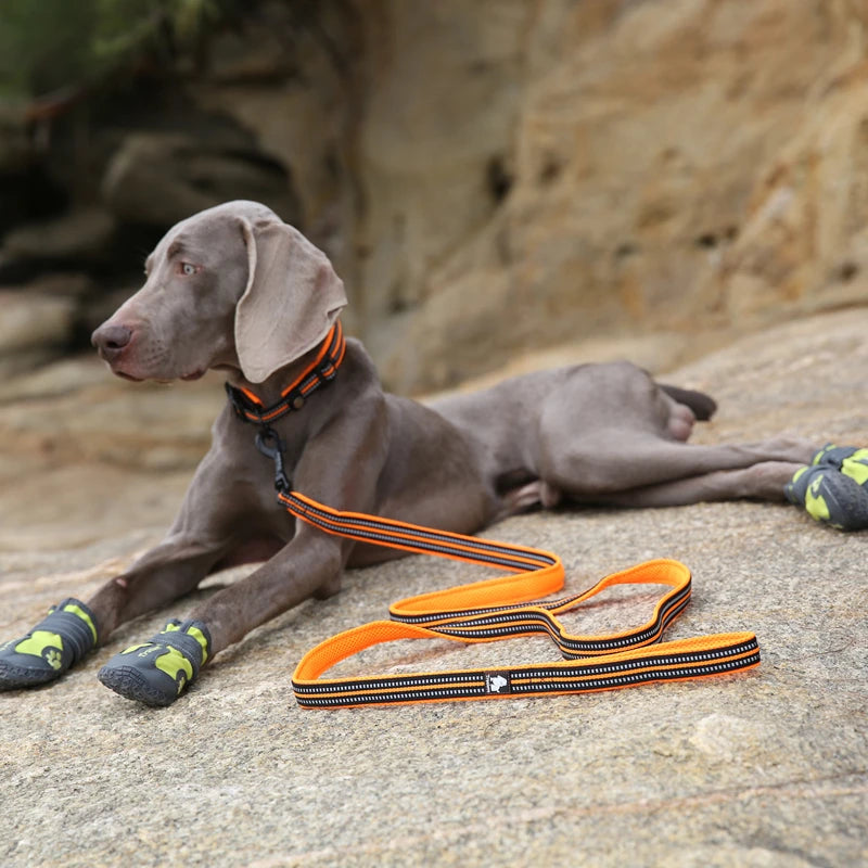 Winhyepet Padded Handle Dog Leash For Training Durable Nylon