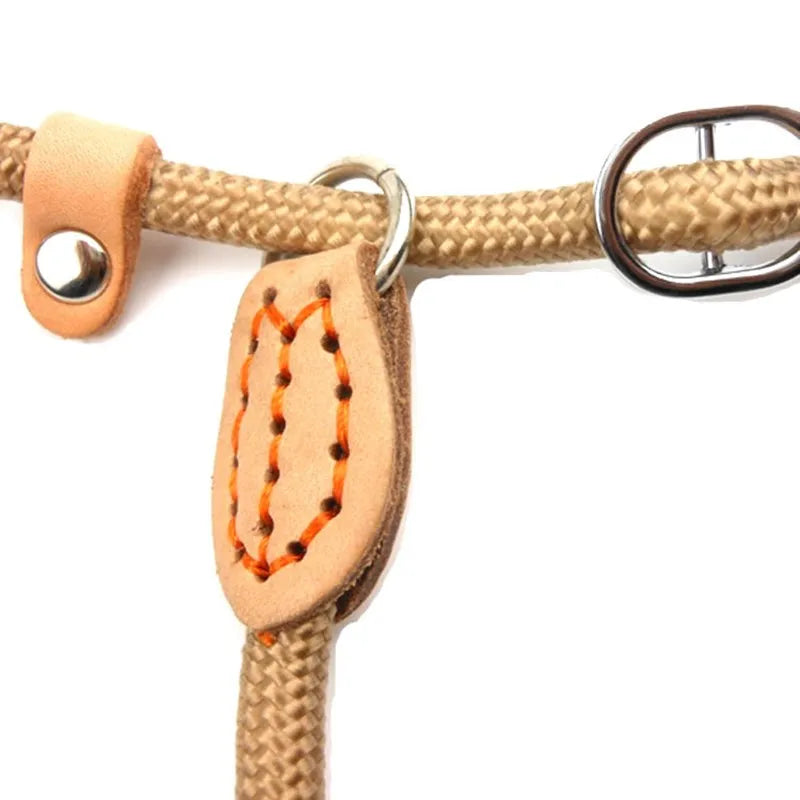 Nylon Dog Leash Slip Rope Heavy Duty Braided Lead Durable