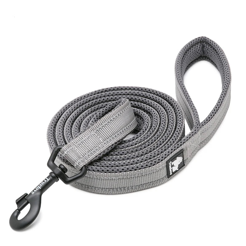 Winhyepet Padded Handle Dog Leash For Training Durable Nylon