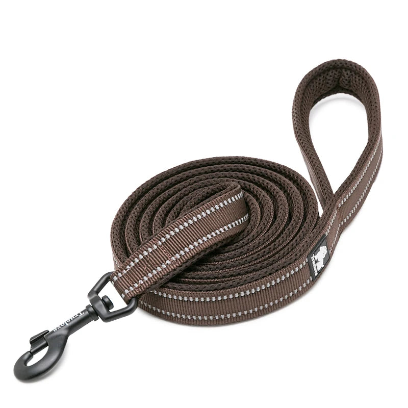 Winhyepet Padded Handle Dog Leash For Training Durable Nylon