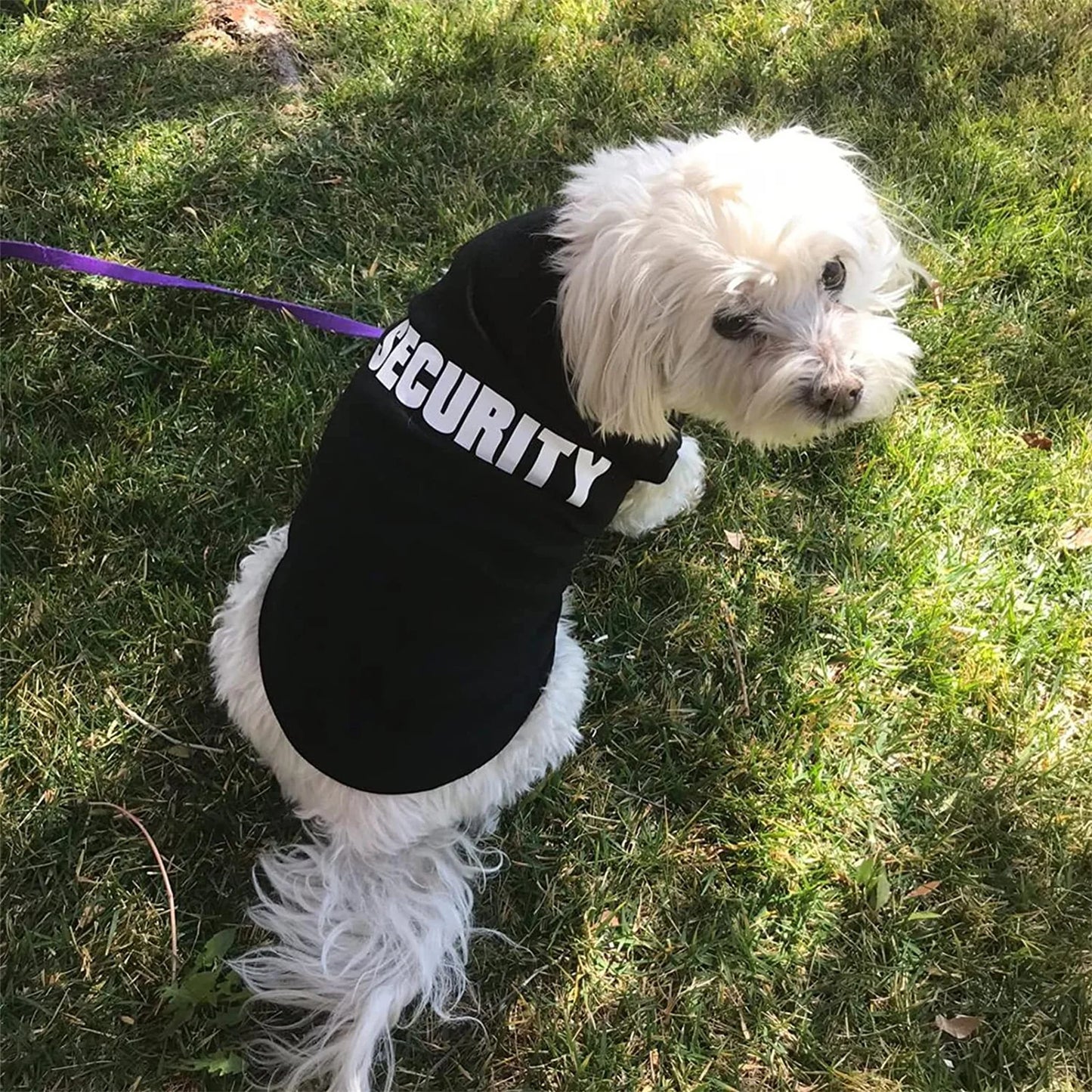 Dog Security Clothing Vest For Small Dogs Shirt Costume