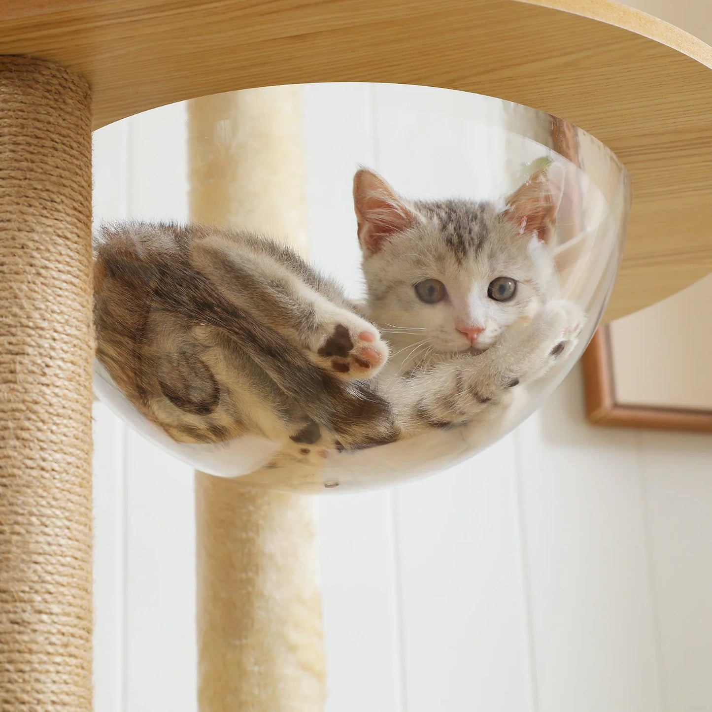PAWZ Ro Multi Level Cat Tree Wood Tower Scratching Posts