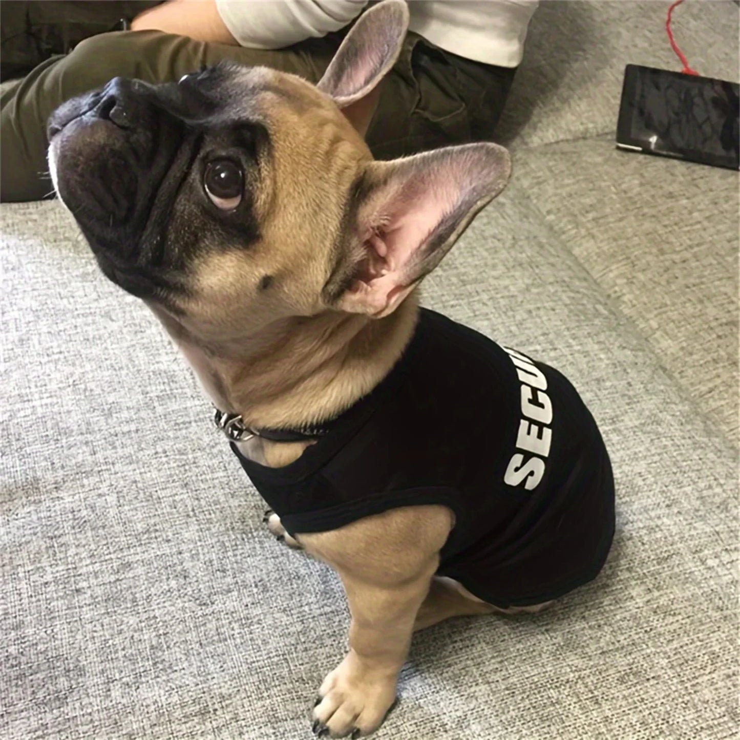 Dog Security Clothing Vest For Small Dogs Shirt Costume