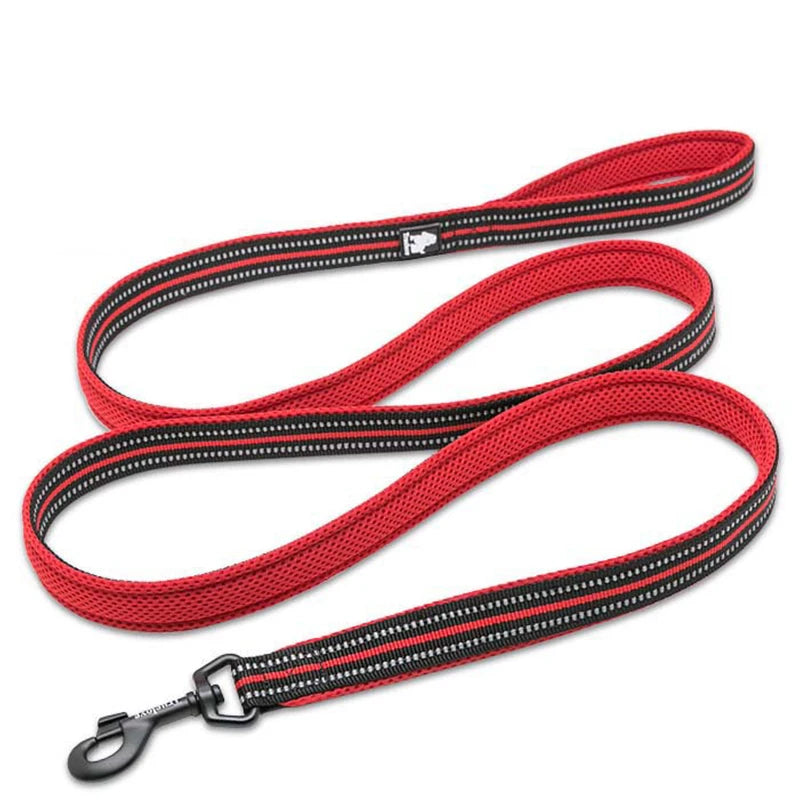 Winhyepet Padded Handle Dog Leash For Training Durable Nylon