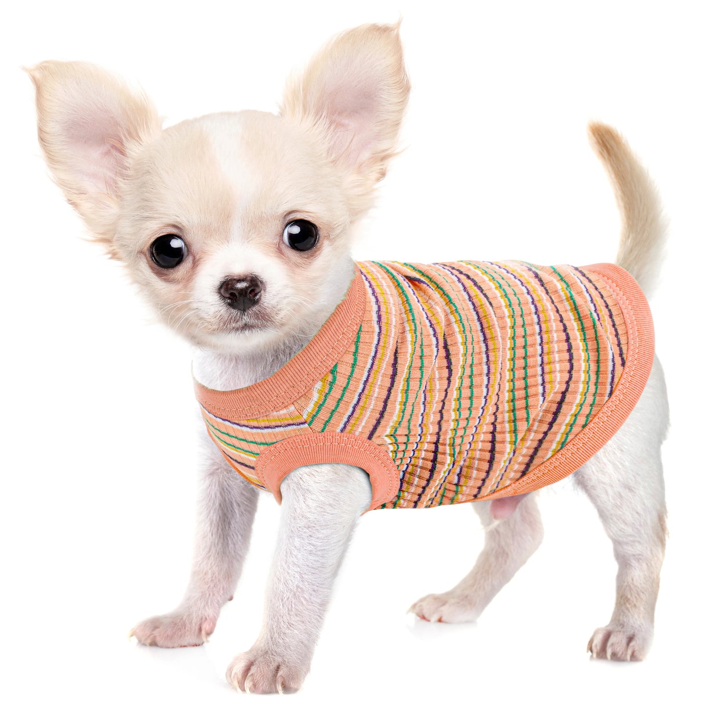 Rib Dog Shirt Vest For Small Dogs Chihuahua Puppy Clothes