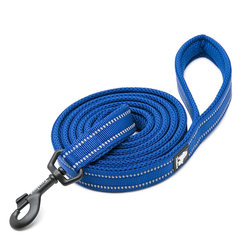 Winhyepet Padded Handle Dog Leash For Training Durable Nylon