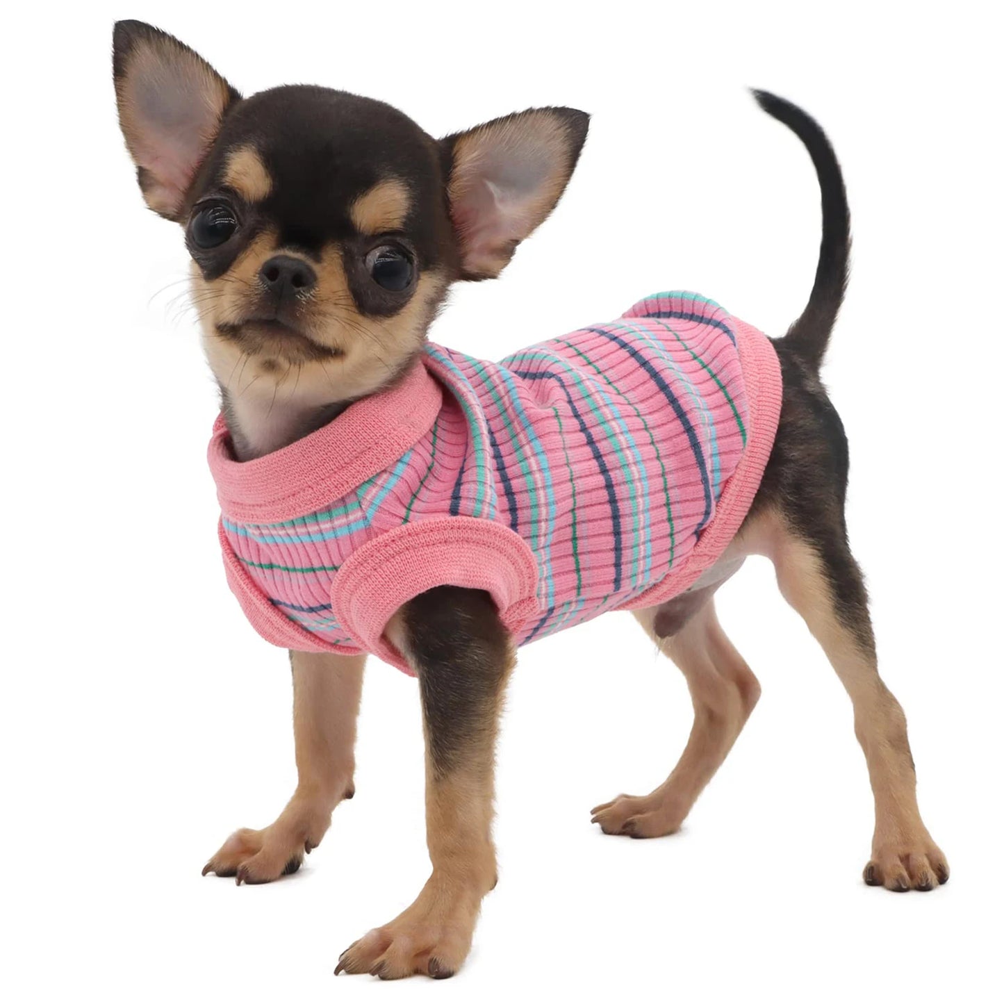 Rib Dog Shirt Vest For Small Dogs Chihuahua Puppy Clothes