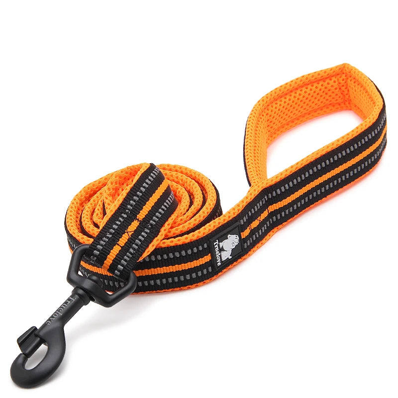 Winhyepet Padded Handle Dog Leash For Training Durable Nylon