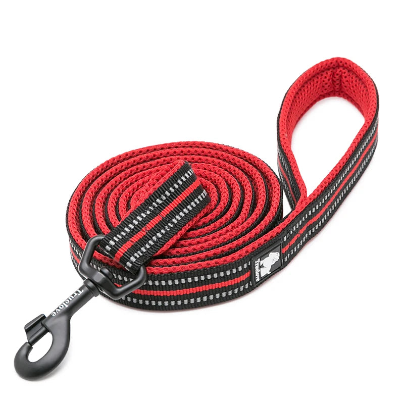 Winhyepet Padded Handle Dog Leash For Training Durable Nylon