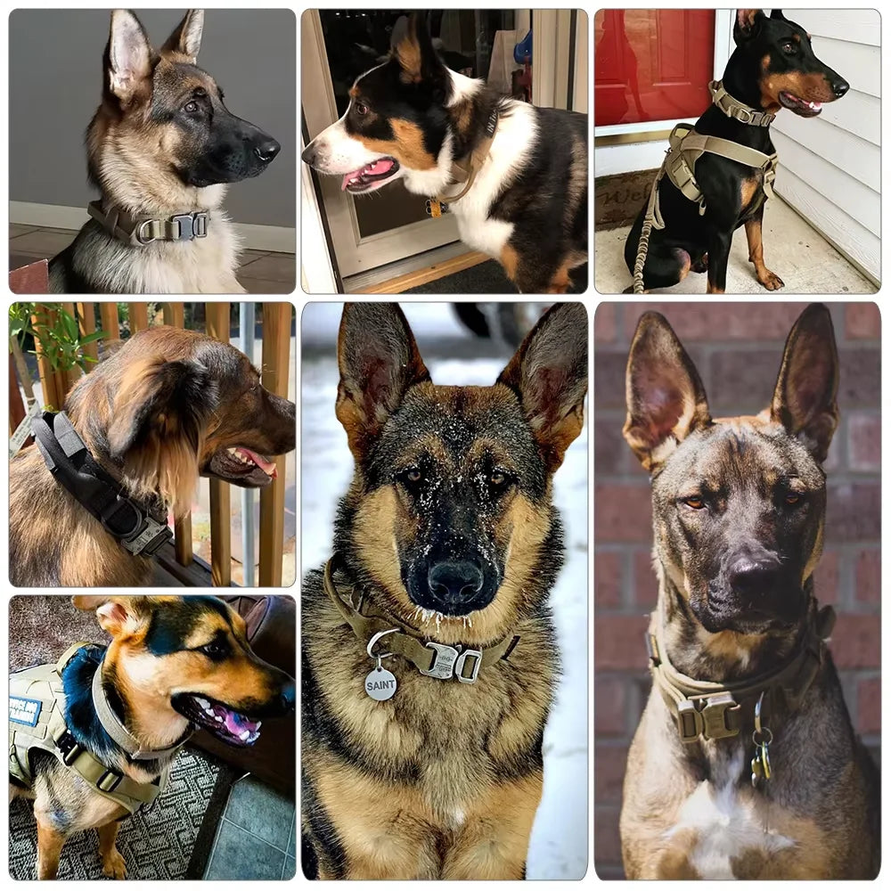 Dog Training Collar Tactical Leash Set With Adjustable Control Handle