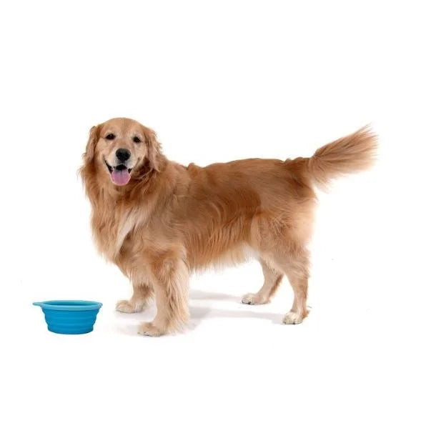Collapsible Pet Travel Bowls Foldable BPA Free For Dogs Cats
