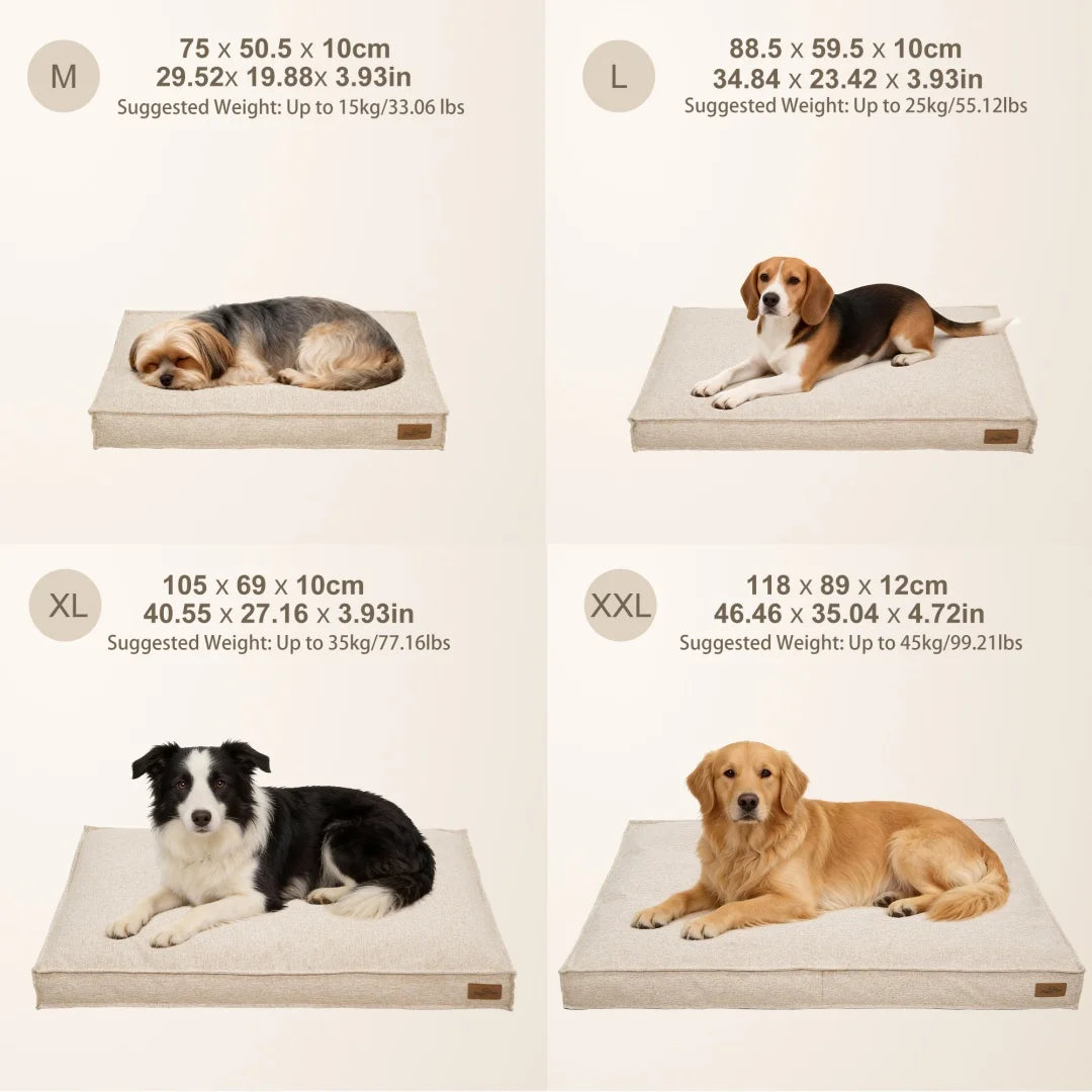 Bingopaw Dog Bed With Linen Cover Foam Base Waterproof Lining