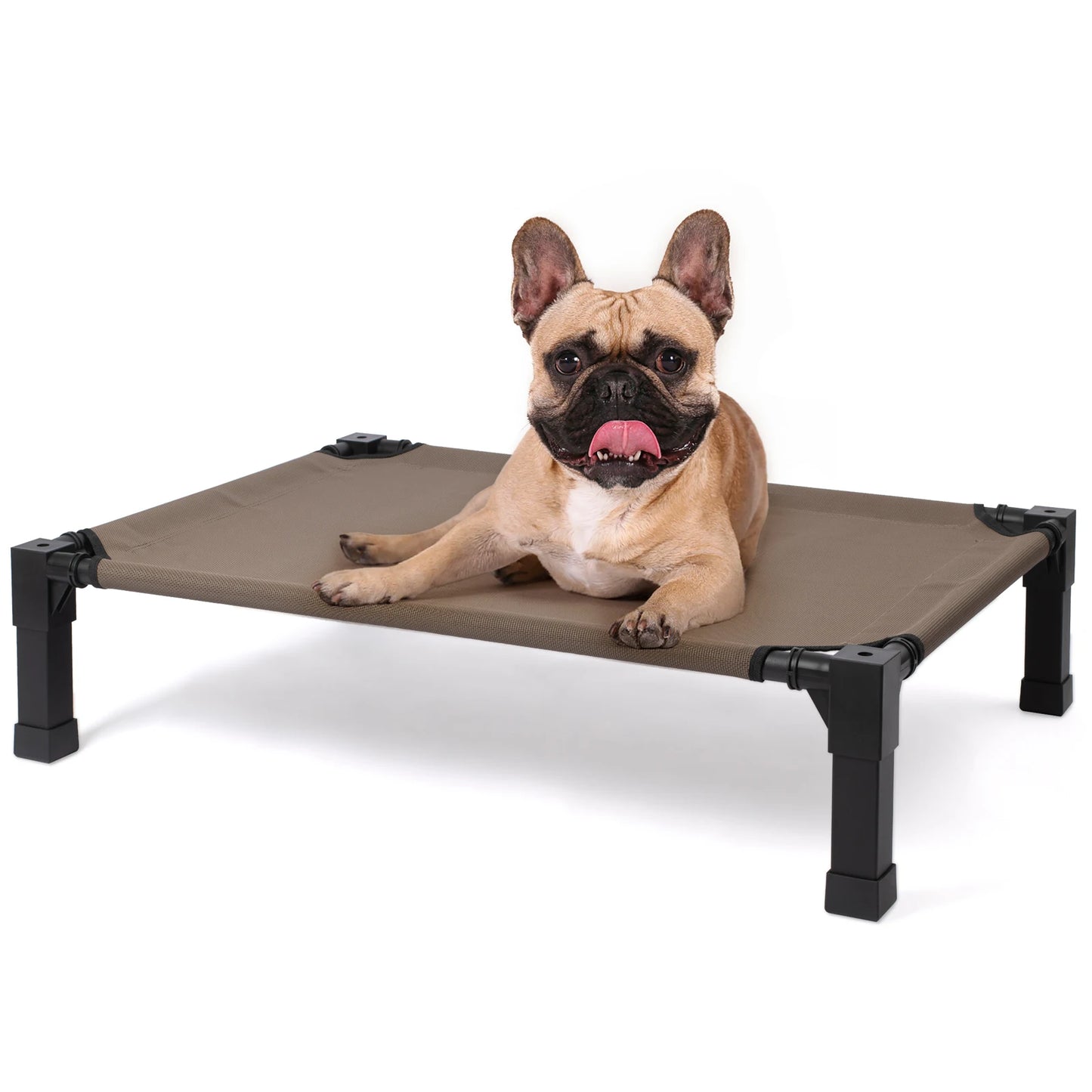 Elevated Cooling Dog Bed With Chew Proof Mesh Metal Frame