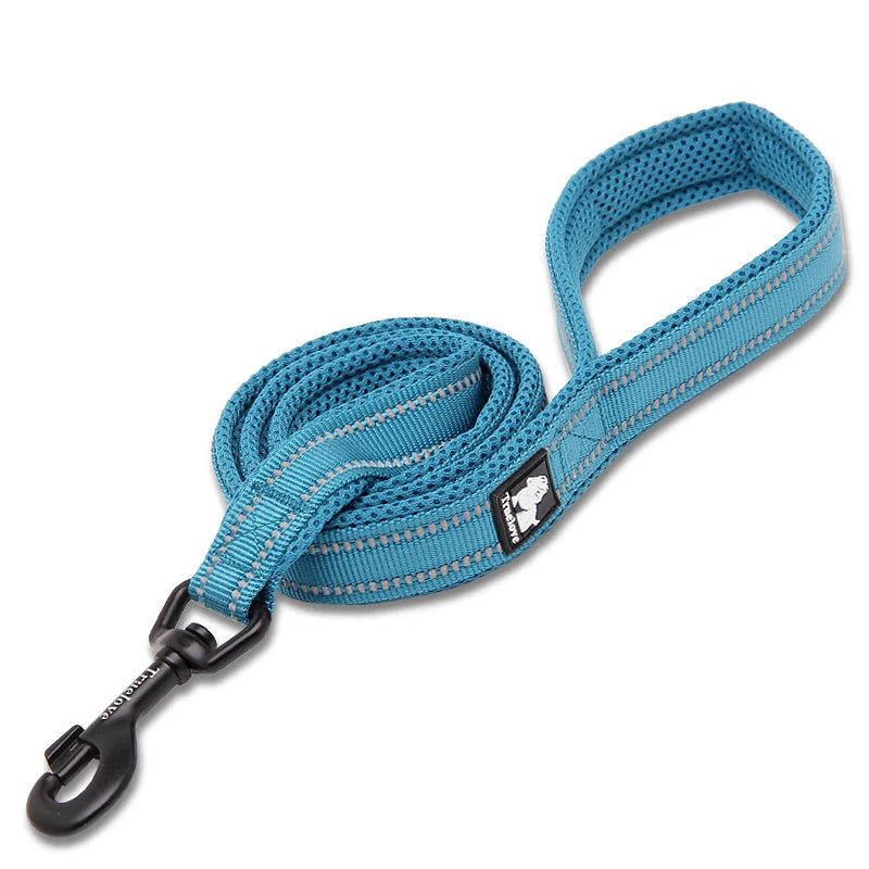 Winhyepet Padded Handle Dog Leash For Training Durable Nylon