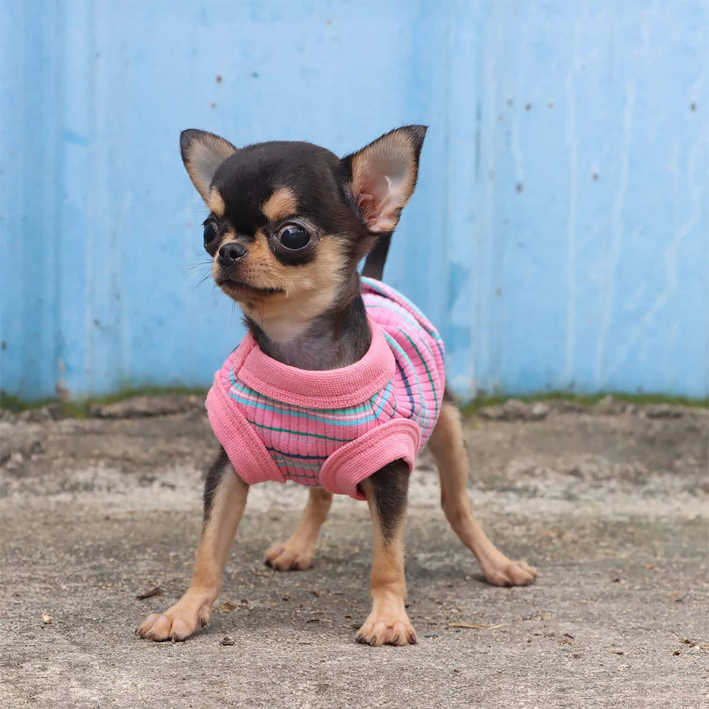 Rib Dog Shirt Vest For Small Dogs Chihuahua Puppy Clothes