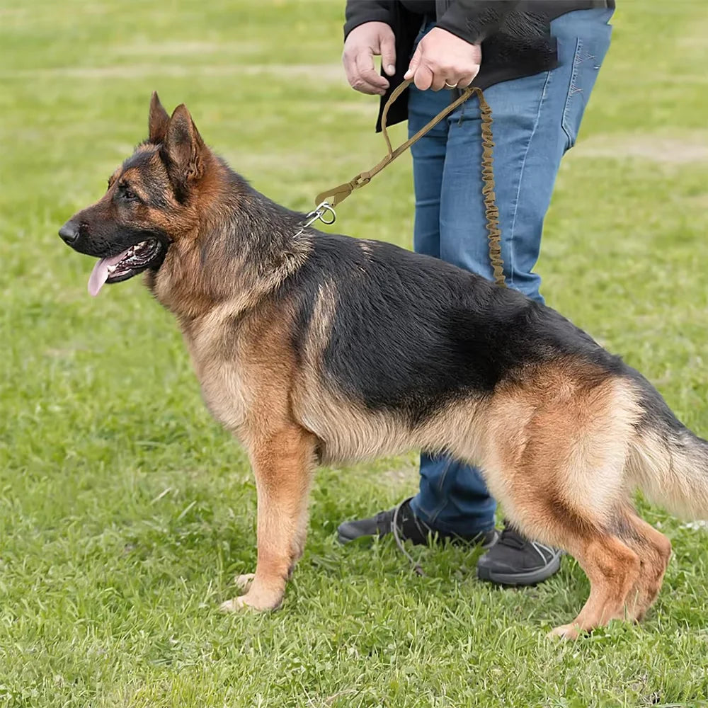 Military Tactical Dog Leash With Adjustable Rope And Dual Handles