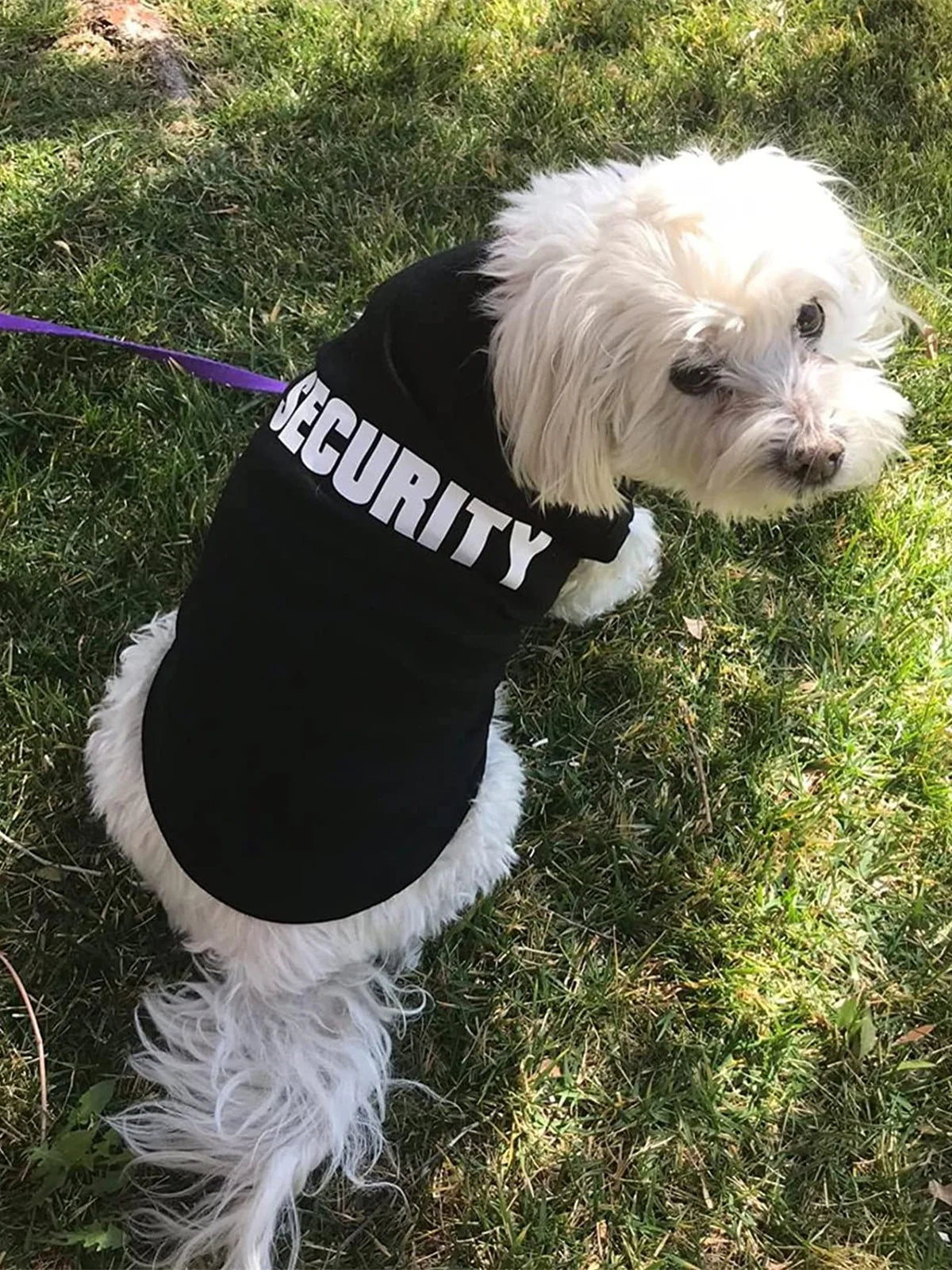 Dog Security Clothing Vest For Small Dogs Shirt Costume