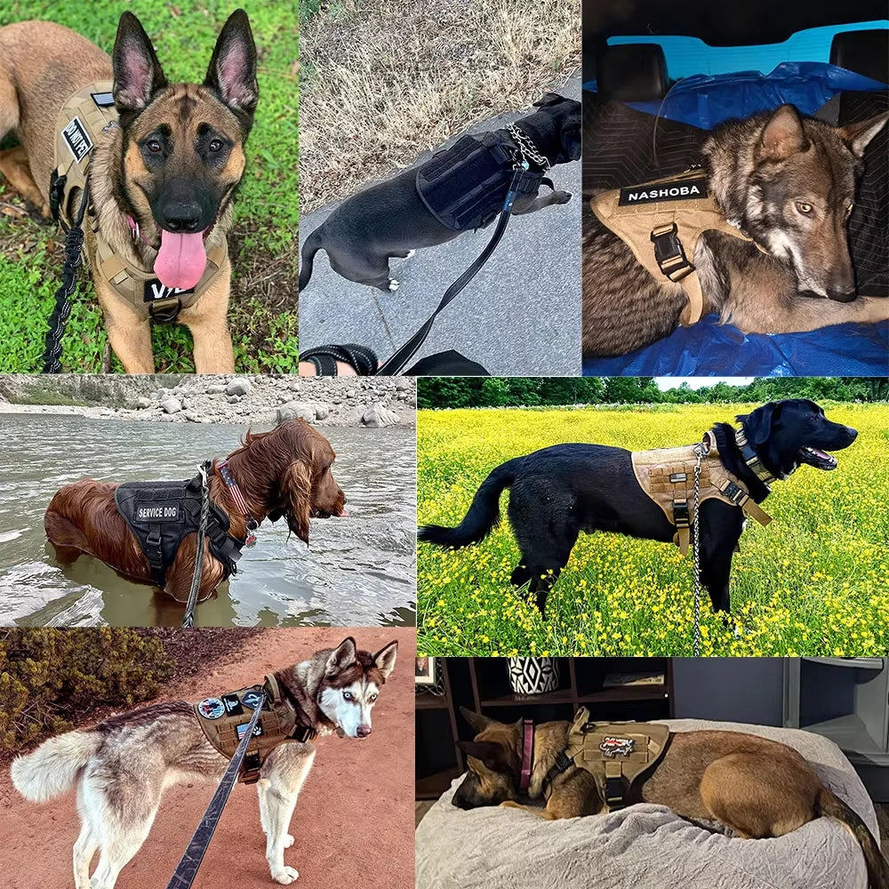 Military Large Dog Harness Vest Set With Leash Patches Bags Training