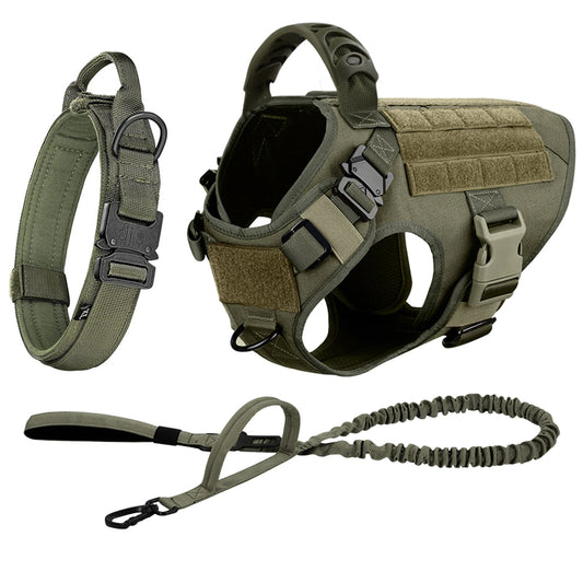 Nylon Adjustable Harness And Leash Set For Medium Large Dogs