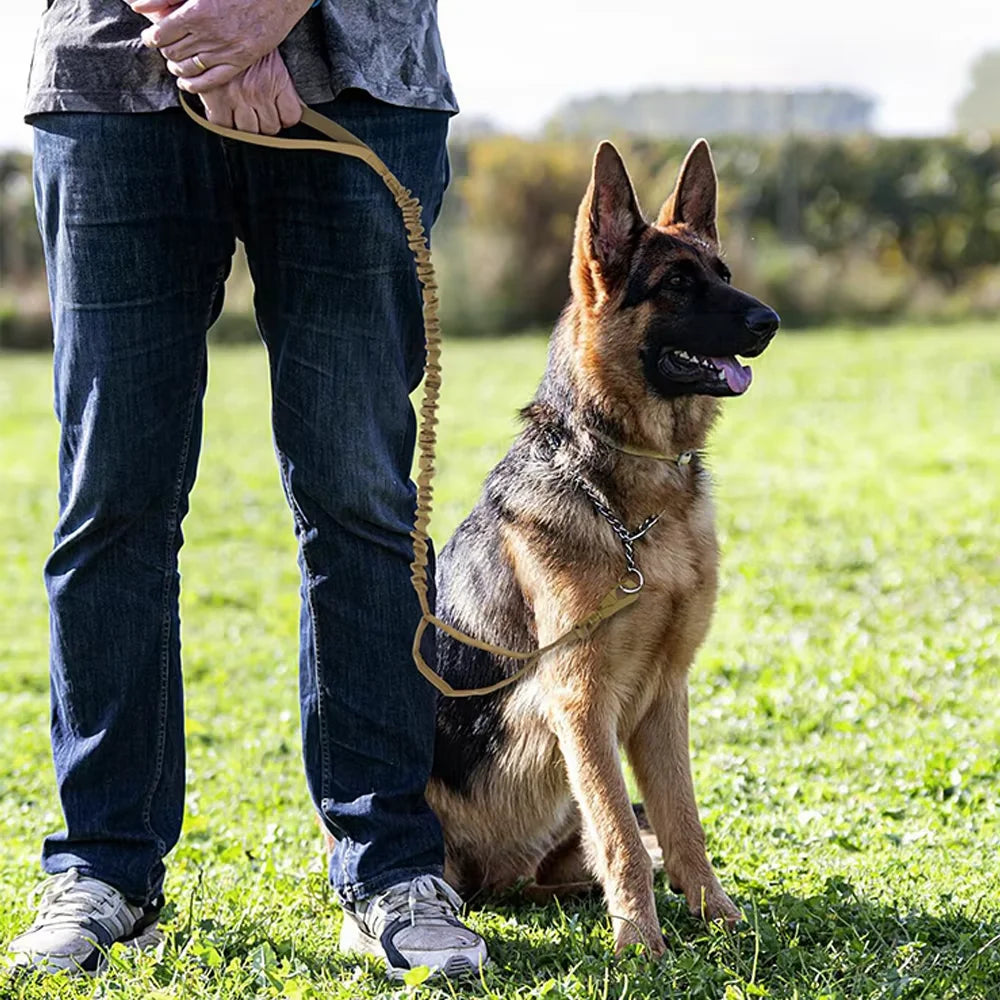 Military Tactical Dog Leash With Adjustable Rope And Dual Handles