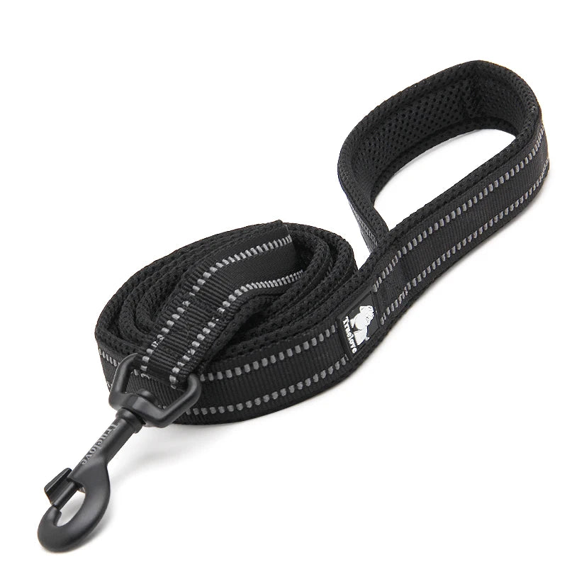 Winhyepet Padded Handle Dog Leash For Training Durable Nylon