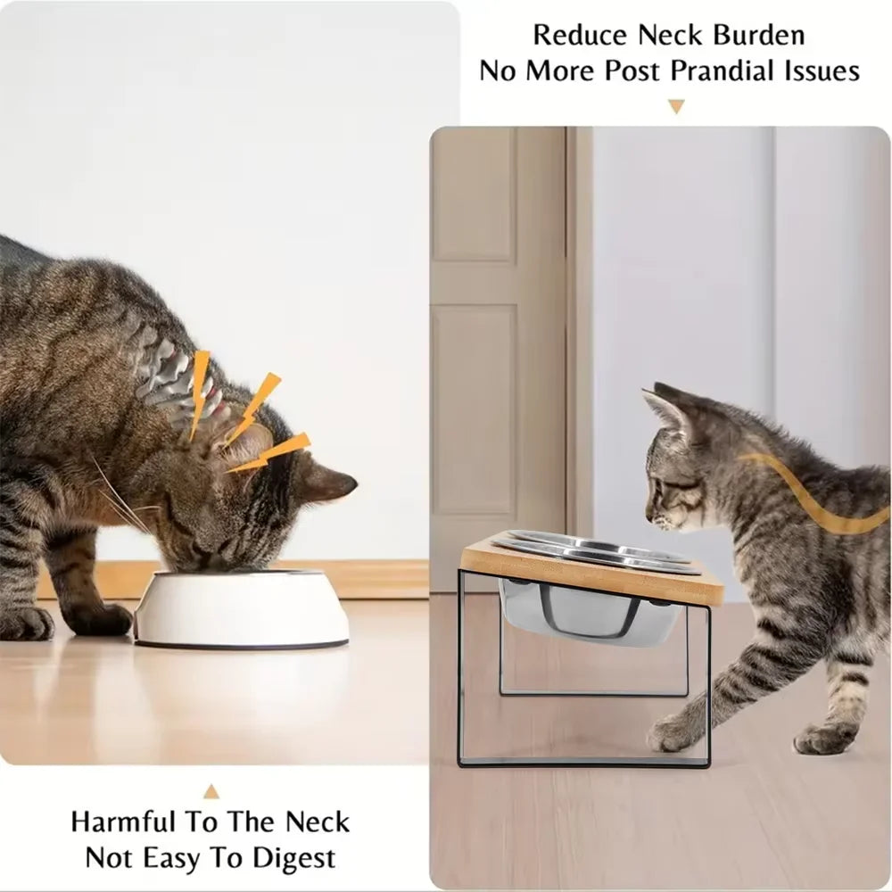 Elevated Tilted Cat Bowl Set With Wooden Stand Anti Vomiting