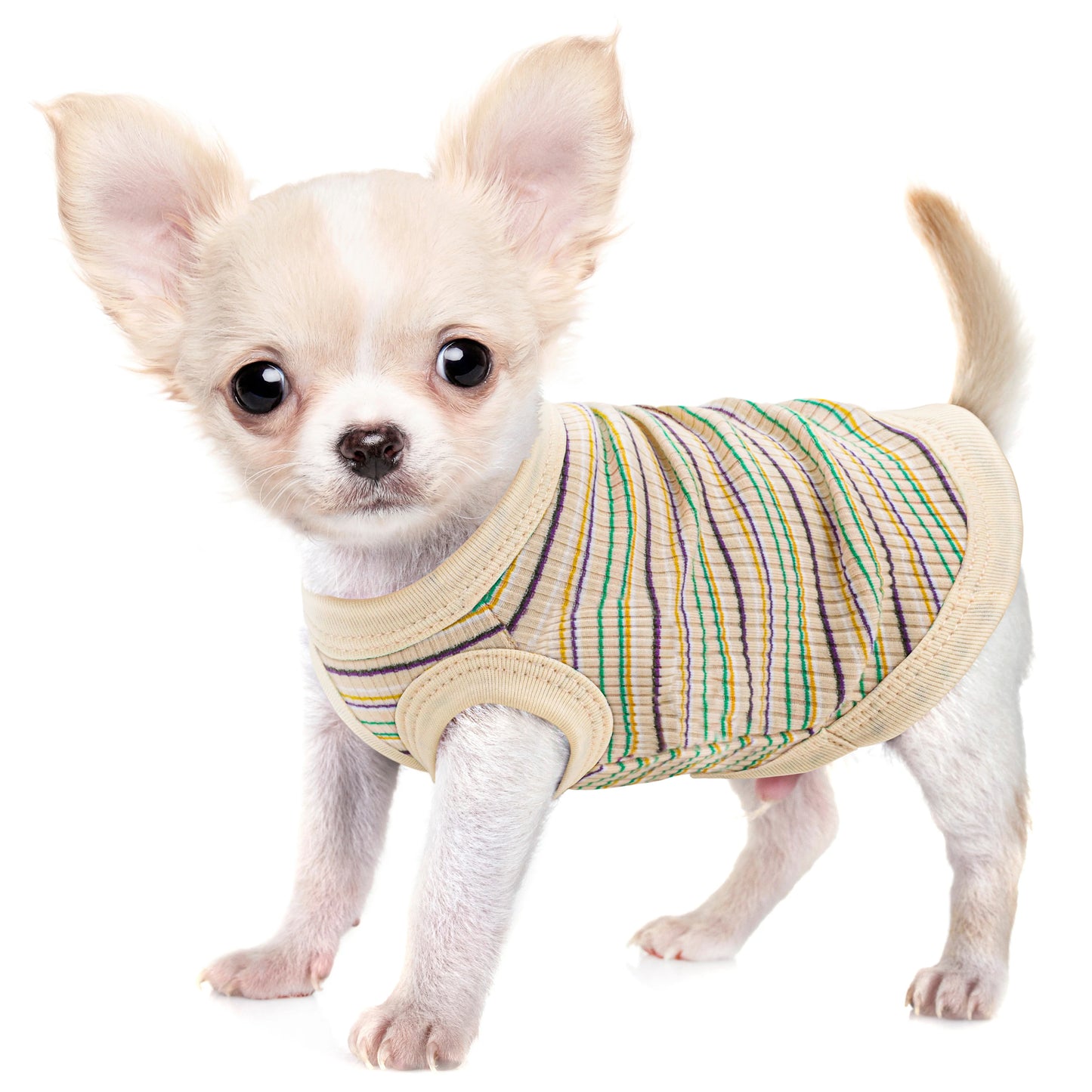 Rib Dog Shirt Vest For Small Dogs Chihuahua Puppy Clothes